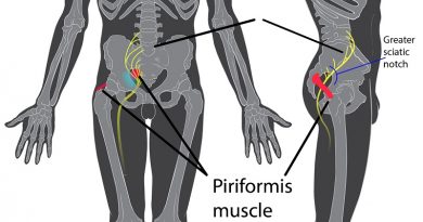 Il muscolo piriforme: dalla biomeccanica alle patologie della schiena Il muscolo piriforme: dalla biomeccanica alle patologie della schiena