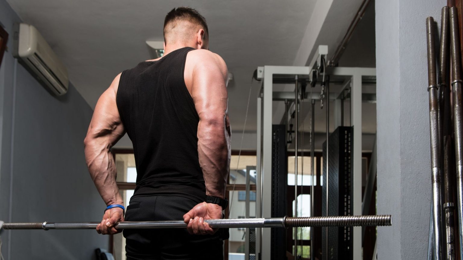 Attrezzo Per Allenamento Braccia Con Impugnatura Antiscivolo E Ventose – Wrestling E Fitness A Casa